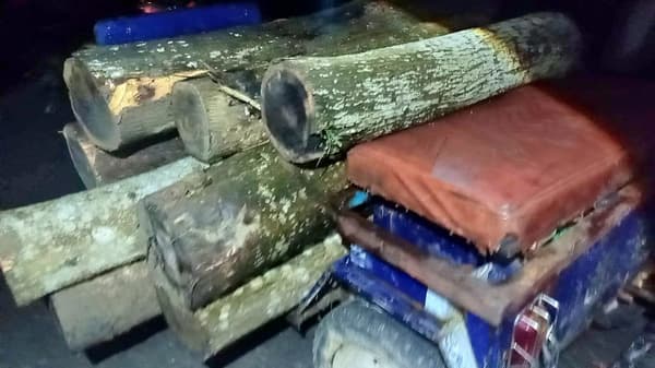 কালাছড়া সংরক্ষিত বনে বাড়ছে বৃক্ষ নিধন, হুমকিতে জীববৈচিত্র্য