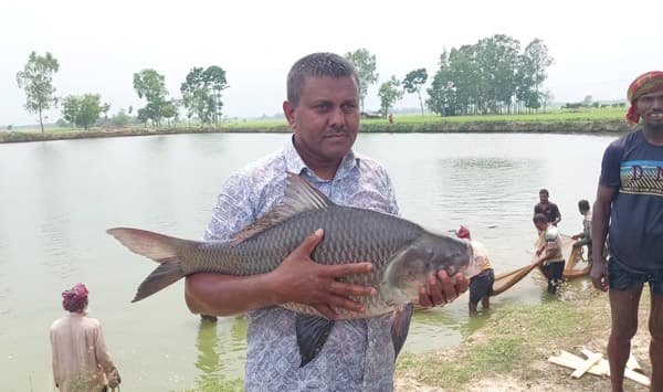 জয়পুরহাটে কার্প ফ্যাটেনিংয়ে উদ্যোক্তা আনোয়ারের আয় কোটি ছুঁইছুঁই
