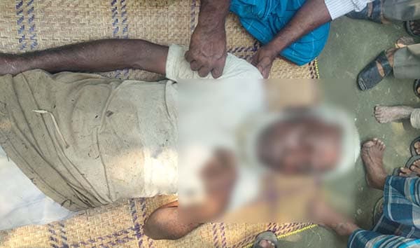 বেগমগঞ্জে গাছের ডাল কাটতে গিয়ে বিদ্যুৎস্পৃষ্টে বৃদ্ধের মৃত্যু