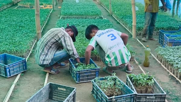 ব্লেডের নিখুঁত ছোঁয়ায় কোটি টাকার স্বপ্ন, ছড়াচ্ছে দেশজুড়ে