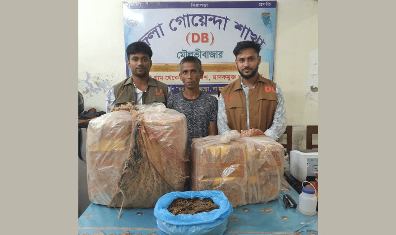 মৌলভীবাজারে পৃথক অভিযানে ইয়াবা-গাঁজা ও ভারতীয় বিড়ি জব্দ