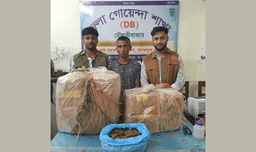 মৌলভীবাজারে পৃথক অভিযানে ইয়াবা-গাঁজা ও ভারতীয় বিড়ি জব্দ