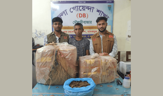 মৌলভীবাজারে পৃথক অভিযানে ইয়াবা-গাঁজা ও ভারতীয় বিড়ি জব্দ
