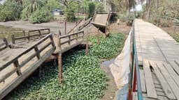 কুয়াকাটায় খালের ভাঙা সেতুতে ২ বছর ধরে ঝুঁকিপূর্ণ চলাচল