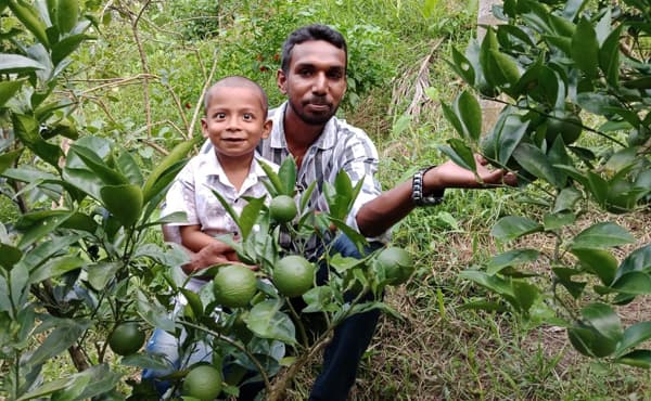 শ্রীমঙ্গলে মাল্টা চাষে সফল কৃষক আতর আলী