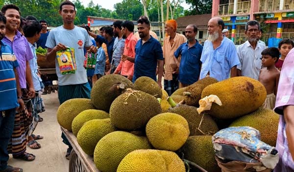 একজনের দাওয়াতে শত অতিথি, টাঙ্গাইলে ফিরল হারানো গ্রামীণ ঐতিহ্য