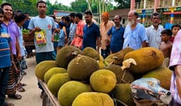 একজনের দাওয়াতে শত অতিথি, টাঙ্গাইলে ফিরল হারানো গ্রামীণ ঐতিহ্য