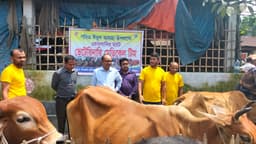 ভূরুঙ্গামারীতে ভেটেরিনারি টিম হাটে, নিশ্চিত হচ্ছে সুস্থ কোরবানি