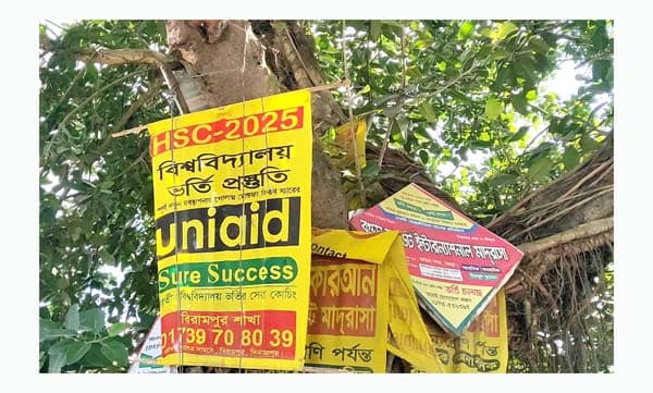 হিলি শহরের গাছ “পেরেক সন্ত্রাসের” শিকার, পরিবেশ ক্ষতিগ্রস্ত
