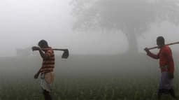 জানুয়ারিতে শৈত্য প্রবাহ: দেশের তাপমাত্রা নামতে পারে ৪ ডিগ্রিতে