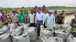জিওব্যাগ ফেলে ভাঙন রোধের চেষ্টা শুরু গোয়ালন্দে