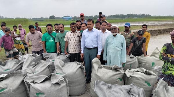 জিওব্যাগ ফেলে ভাঙন রোধের চেষ্টা শুরু গোয়ালন্দে