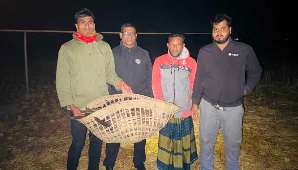 মৌলভীবাজারে গাছের ডালে আটকে থাকা শকুন উদ্ধার