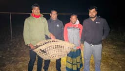 মৌলভীবাজারে গাছের ডালে আটকে থাকা শকুন উদ্ধার