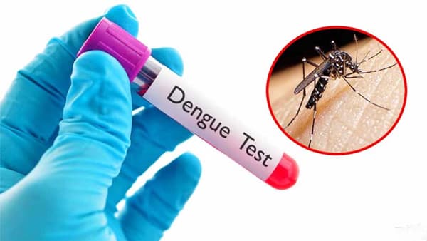 ডেঙ্গুতে আরও পাঁচজনের মৃত্যু, ২৪ ঘণ্টায় আক্রান্ত ৪৯০