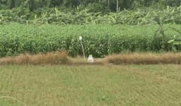 দর্শনা সীমান্তে বিএসএফের পুশইন ব্যর্থ করল বিজিবি