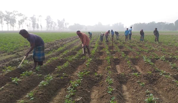 পাঁচবিবিতে কনকনে শীত, থমকে যাচ্ছে শ্রমজীবী মানুষের জীবন