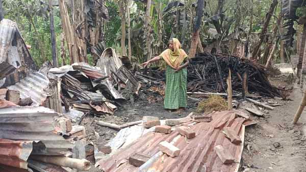 মান্দায় শত্রুতার আগুনে পুড়ে ছাই আদরের গরু ছাগল!