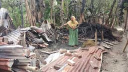 মান্দায় শত্রুতার আগুনে পুড়ে ছাই আদরের গরু ছাগল!