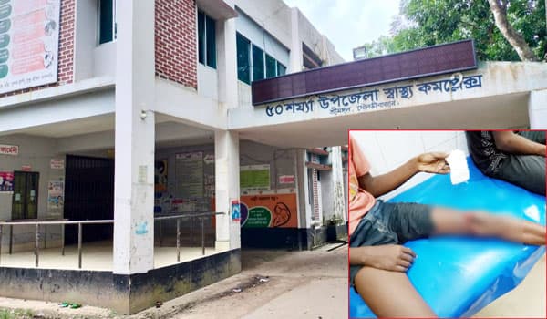 শ্রীমঙ্গলে ৪ ঘন্টায় শিয়ালের কামড়ে ১২জন আহত