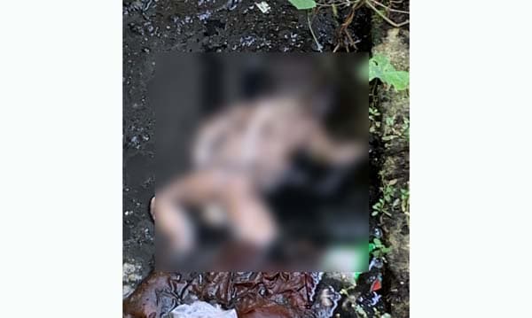 দেবীদ্বার স্বাস্থ্য কমপ্লেক্সের ড্রেনে মিলল নবজাতকের অর্ধগলিত মরদেহ