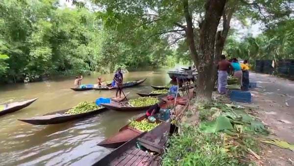 ভিমরুলী পেয়ারাবাগানে বেপরোয়া পর্যটনে পরিবেশ বিপর্যয়ের শঙ্কা বাড়ছে