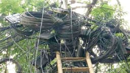 আত্রাইয়ে রাতের আঁধারে ক্যাবল লাইন কেটে নাশকতা! আতঙ্কে ক্যাবল ব্যবসায়ীরা