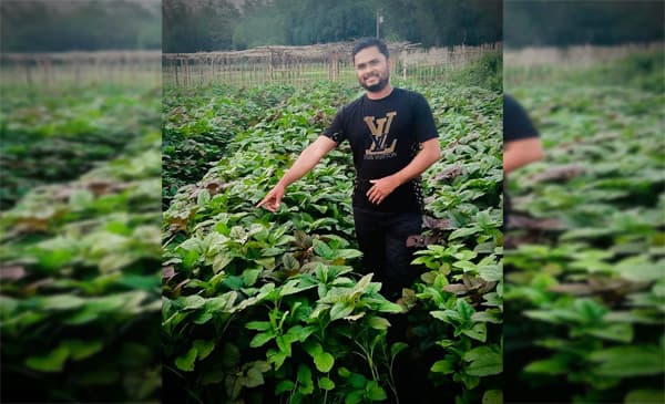 প্রবাস জীবনের পর কৃষিতে সফল যুবক রাসেল