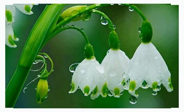 স্বাভাবিকের তুলনায় দীর্ঘ ও শীতল হতে পারে শীত