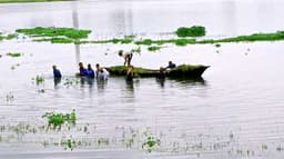 প্রবল বৃষ্টি ও ঝড়ে হবিগঞ্জে বোরো ধানের বিপর্যয়