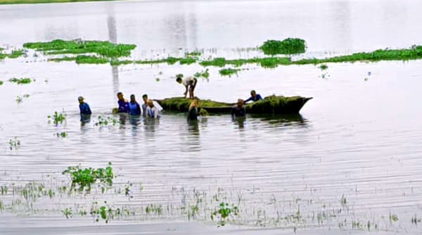 প্রবল বৃষ্টি ও ঝড়ে হবিগঞ্জে বোরো ধানের বিপর্যয়