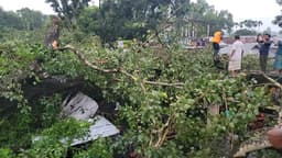 গোপালপুরে শতবর্ষী বটগাছ ধসে আহত ১৭, বাজারে হাহাকার