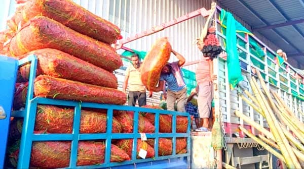 ভারত থেকে আমদানি, হিলিতে মরিচ বিক্রি সস্তা