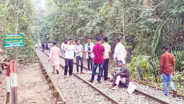 লাউয়াছড়া জাতীয় উদ্যানে রেললাইনে সেলফি-কনটেন্ট তৈরি, বাড়ছে মৃত্যুঝুঁকি