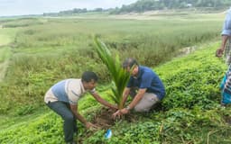 গোয়ালন্দে ইউএনও'র উদ্যোগে গাছের চারা রোপন