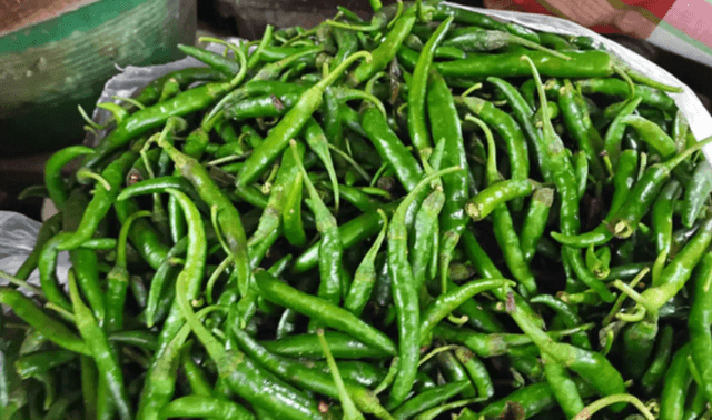 সবজির দাম চড়া,কাঁচা মরিচের কেজি ৩০০ পার 