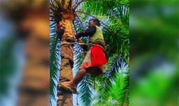 আত্রাইয়ে শীতের আগমনী বার্তায় খেজুর রসের ঘ্রাণ, ব্যস্ত গাছিরা