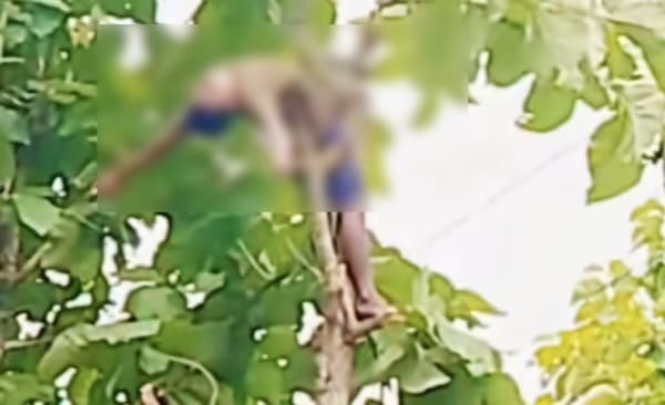 দীঘিনালায় গাছ কাটতে গিয়ে বিদ্যুৎস্পৃষ্টে যুবকের মৃত্যু