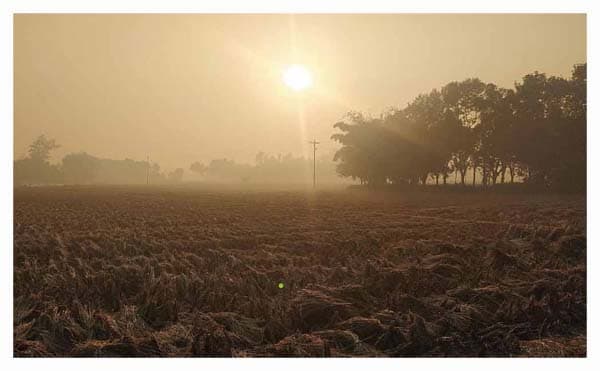 তেঁতুলিয়ায় নেমে গেল শীতের তীব্রতা, তাপমাত্রা ১৩.৪ ডিগ্রি