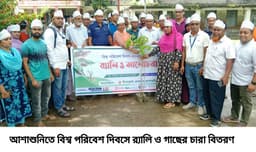 আশাশুনিতে বিশ্ব পরিবেশ দিবস উদযাপন: প্লাস্টিক দূষণ রোধে র্যালি ও আলোচনা সভা