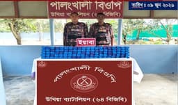 বিজিবি’র অভিযান: উখিয়া সীমান্তে সাড়ে ৫ লাখ পিস ইয়াবা উদ্ধার