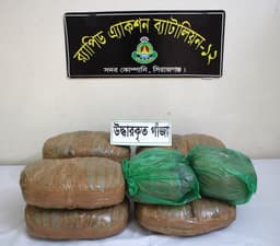 যমুনা সেতু পশ্চিমে ১৬ কেজি গাঁজাসহ মাদক ব্যবসায়ী গ্রেপ্তার