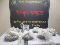 টাঙ্গাইলে গাঁজা ব্যবসায়ী গ্রেফতার, কোটি টাকার মাদক জব্দ
