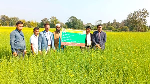 পানছড়িতে কম সময়ে বেশি লাভে তেল ফসল আবাদে উৎসাহ