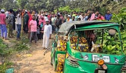 দেবীদ্বারে সড়ক দুর্ঘটনায় সিএনজি উল্টে প্রাণ গেল মা-ছেলের 