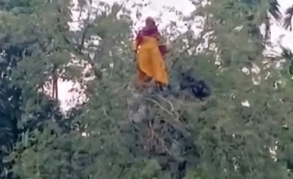 তেঁতুল গাছের মগডালে নিখোঁজ বৃদ্ধা !