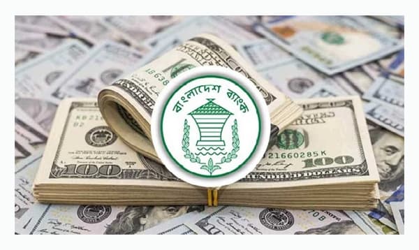অক্টোবরে রেমিট্যান্স প্রবাহে রেকর্ড বৃদ্ধি, প্রতিদিন আসছে ৮.৯ কোটি ডলার