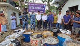 নলছিটিতে কোস্ট গার্ডের অভিযানে ৪২ মন জাটকা জব্দ, জরিমানা