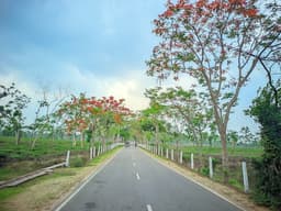 শ্রীমঙ্গলের রঙিন ফুলের মেলায় প্রকৃতি যেন নতুন রূপে মোহিত করে