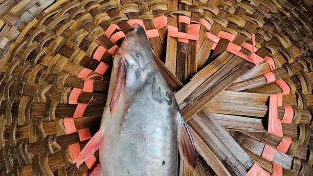 পাঙ্গাশের গায়ে ‘আল্লাহু’ লেখা, গোয়ালন্দে আলোড়ন